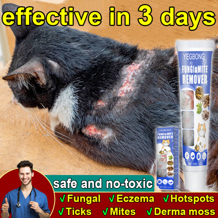 🔥Safe and nontoxic🔥Pet Ointment for dog Tick and Flea Killer for cat