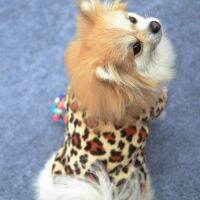 เสื้อผ้าสุนัขAunticindyเสือดาวสไตล์เย็นขนแกะสุนัขแมวเครื่องแต่งกายสำหรับShihtzu Pomeranian