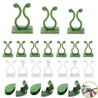 10-50Pcs Plant Climbing Wall Fixture คลิปอะคริลิคสติกเกอร์ Self-Adhesive Hook Plant Vine Traction ผู้ถือในร่มกลางแจ้ง Decor