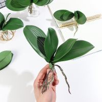 【YF】✙✾  1PC Artificial Plastic Phalaenopsis Orchid Leaves for Wedding Supplies