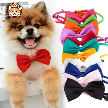 Buy Louis Vuitton Dog Collar online