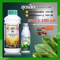 เอฟอช 100cc. + แกรมม่าทู 500cc.【ชุดเล็ก 1,100 บาท】  สารจับใบ เร่งแทรกซึมใบ+ปุ๋ยน้ำ เร่งติดดอก แตกยอด