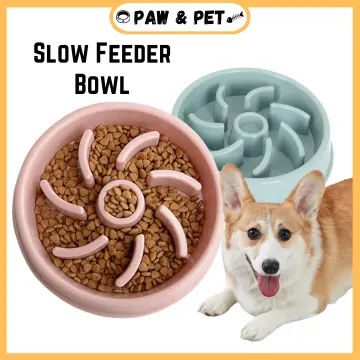 Slow Feeder Dog Bowl Anti-Bloat No Gulp Puppy Pet Cat Interactive Feeding  Bowl~