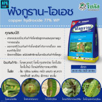 ฟังกูราน 1 กิโลกรัม โซตัส คอปเปอร์ไฮดรอกไซด์ สูตรทนฝน ยาเชื้อราในพืช ยากำจัดเชื้อรา โรคแคงเกอร์ แอนแทรคโนส ไม่เป็นอันตรายต่อพืชปลูก