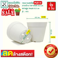 กระถาง PU014 ขนาด 2.5 นิ้ว สีขาว 6 ใบ เนื้อพลาสติกแน่นหนาทนทาน ราคาถูก กระถางแคคตัส กระถางกระบองเพชร