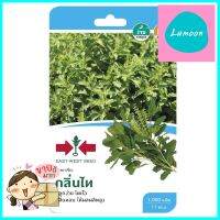 กะเพราเขียว กลิ่นไท ศรแดงHOLY BASIL SEED EAST-WEST SEED KLINTHAI **ของแท้100%**