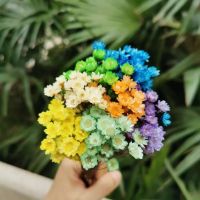 120pcs/0.5-1cm headNatural Dried Brazil star flowers Mini Eternal RoseDisplay Flower Bouquet for Wedding Party Home Decoration