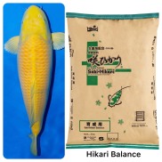 cám cá chép Koi, hikari,thương hiệu thức ăn hàng đầu Nhật bản,túi 15kg