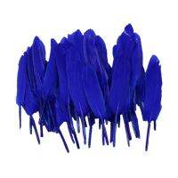 50pcs Dyed Goose Feathers DIY Hairstyles Decor Jewelry Wedding Party