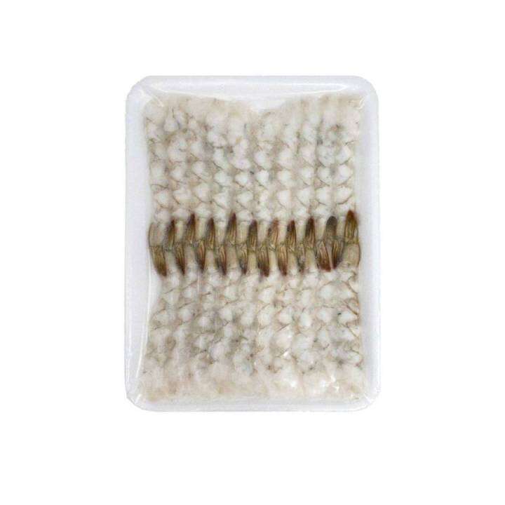 Shrimp "Nobashi Ebi" for Tempura (330g) Lazada PH