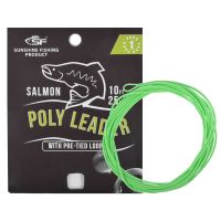 SF 1PCS 10FT  Fly Fishing Polyleader Monofilament Core Leader Line Fly Line for 10 Salmon Poly Leader Fishing Lines