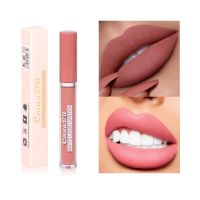 10 color Matte Lipstick Lips Mask Non stick Cup Long Lasting Waterproof Liquid Lip Gloss Cosmetics For Makeup Lip Glaze TSLM2