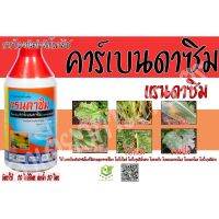 คุ้มสุด!! แรนดาซิม 1,000ml. คาร์เบนดาซิม สารกำจัดเชื้อราแบบดูดซึม โรคราแป้ง โรคแอนแทรกโนส โรคเมลาโนส โรคใบจุดสีม่วง โรคพืช เชื้อรา