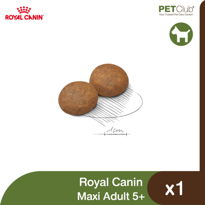 petclub-royal-canin-maxi-adult-5-อาหารสุนัข-พันธุ์ใหญ่-อายุ-5-ปีขึ้นไป-15kg