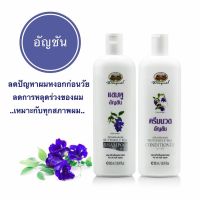 อภัยภูเบศร แชมพู / ครีมนวด อัญชัน 300 ml