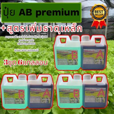 ปุ๋ยไฮโดรโปนิกส์ ปุ๋ยAB Hydroponics  ปุ๋ยน้ำ ปุ๋ยผักสลัด สำหรับปลูกผัก ขนาด1000ML New สูตรเข้มข้น 3 ชุด 6แก่ลอน