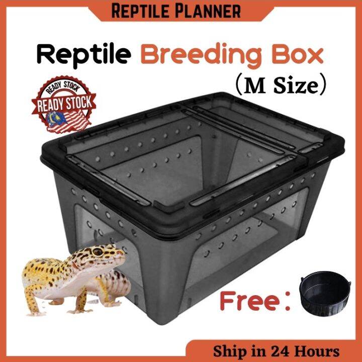 Reptile Plastic Breeding Box Shelter Insects Horn Frog Gecko Lizard ...