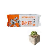 Sphagnum Moss For Plants Potting Mix Sphagnum Moss Moisturizing Nutrition Organic Fertilizer Phalaenopsis Orchid Garden Supplies