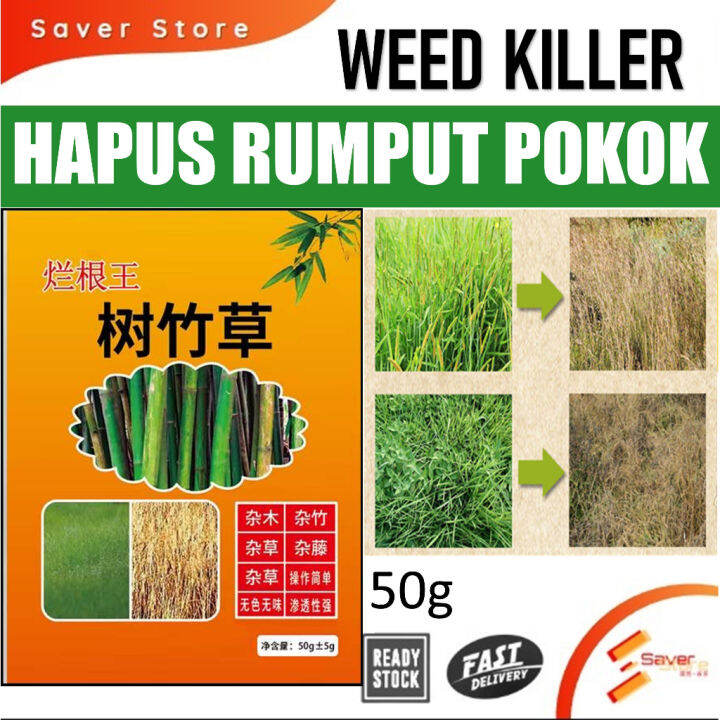 Saverstore Weed Tree Killer hapus rumput Pokok Pokok Buluh Alat