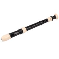 Abs Recorder Soprano Clarinet Long Flute Baroque Recorder Fingering Musical Instrument Accessories Beginner