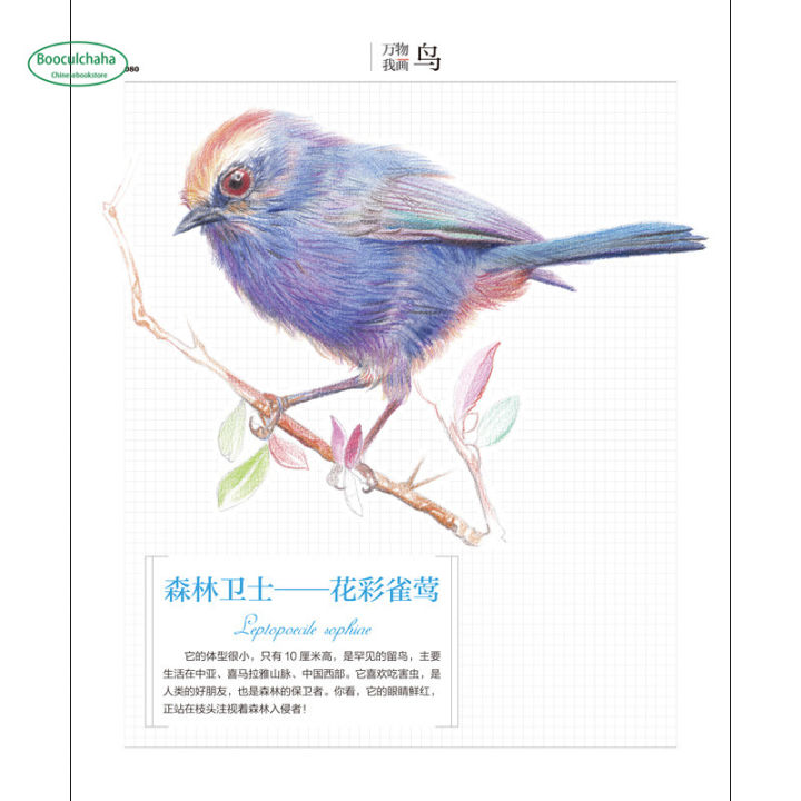 ดินสอสีหนังสือสอน-แมวสุนัขนกศูนย์พื้นฐานภาพวาดสีตะกั่ววาดไพรเมอร์ร่างหนังสือ