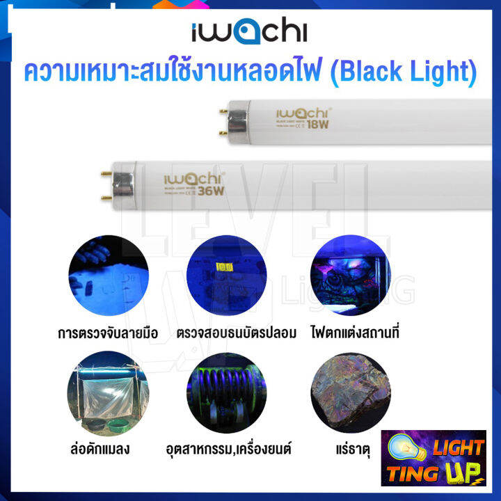 แพ็ค-1-หลอด-หลอดนีออนฟลูออเรสเซ้นทร์-iwachi-18w-หลอดไฟล่อแมงดาหลอดไฟ-black-light-white-หลอดไฟแบล็คไลท์ขาว-หลอดสีขาว-แสงสีฟ้าน้ำทะเล-หลอดสั้น-60-cm