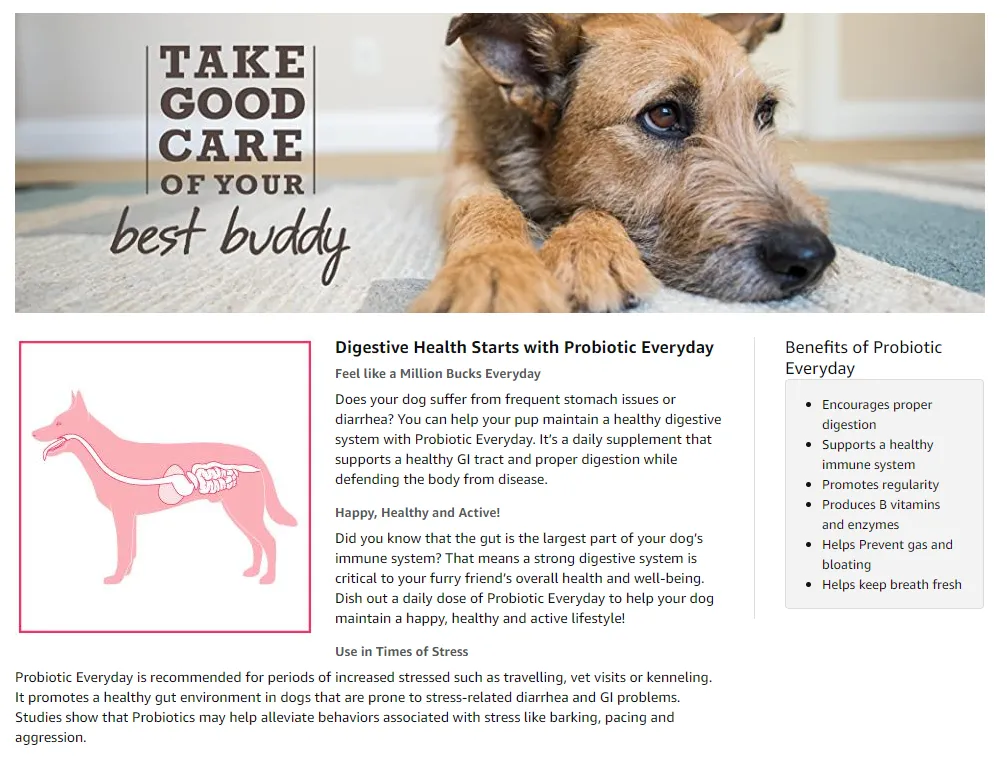 Can Dogs Have Probiotics Every Day