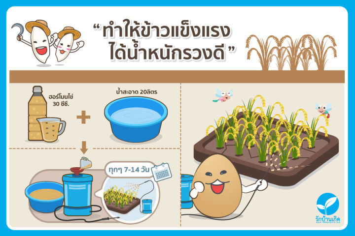 ฮอร์โมนไข่-สูตรเข้มข้นพิเศษ-แตกต่างไม่เหมือนใคร-แก้ปัญหาต้นโทรม-ช่วยเร่งการเจริญเติบโต-เร่งดอก-เร่งดก-เพิ่มผลผลิต-ช่วยให้พืชแข็งแรง-ต้านทานโรค-ขวดใหญ่-1-5-ลิตร-ส่งฟรีเคอรี่