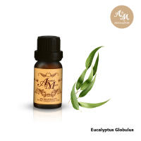 Aroma&amp;More  Eucalyptus globulus Blue Gum / น้ำมันหอมระเหยยูคาลิปตัส 100%  ออสเตรเลีย  10/30/100ML