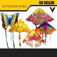KITES AVAILABLE HERE WITH MANY DESIGNS KITE TO CHOOSE FROM. GOOD FOR ANY ACTIVITIES