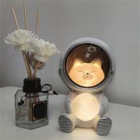 Guardian Astronaut Night Light Battery Powered Galaxy Animal Adorable Resin Night Lamp Star Light Kids Toys Gift Room Decor