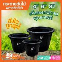 กระถางต้นไม้ 4,6,8นิ้ว กระถางพลาสติก กระถางเพาะปลูก สีดำ