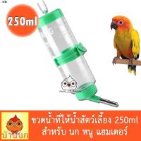 narak... ถูกที่สุด คุณภาพดี.. ขวดน้ำสัตว์เลี้ยง 250ml นก กระต่าย แฮมสเตอร์ หนู กระรอก หมา แมว แ  สัตว์เลี้ยงขนาดเล็ก (ค สี) ขวดน้ำ ขวดน้ำติดกรง​(ถ้าไม่ได้ระบุ ราคาต่อ1ชิ้นนะค๊ะ) ( สอบถามรายละเอียดทักแชทนะคะ )