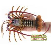 Animal Kingdom - โมเดล Lobster กุ้ง มังกร ออสเตเลีย เขียว ขนาด 22.50 CM (จากสงขลา)