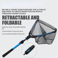 2022 New Fishing Hand Net Stainless Steel Triangular Folding Fishing Net Foldable Collapsible Fly Fishing Net Tackle