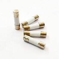 5 ตัว Ceramic Fuse ฟิวส์เซรามิก ขนาด 5x20 mm 250V