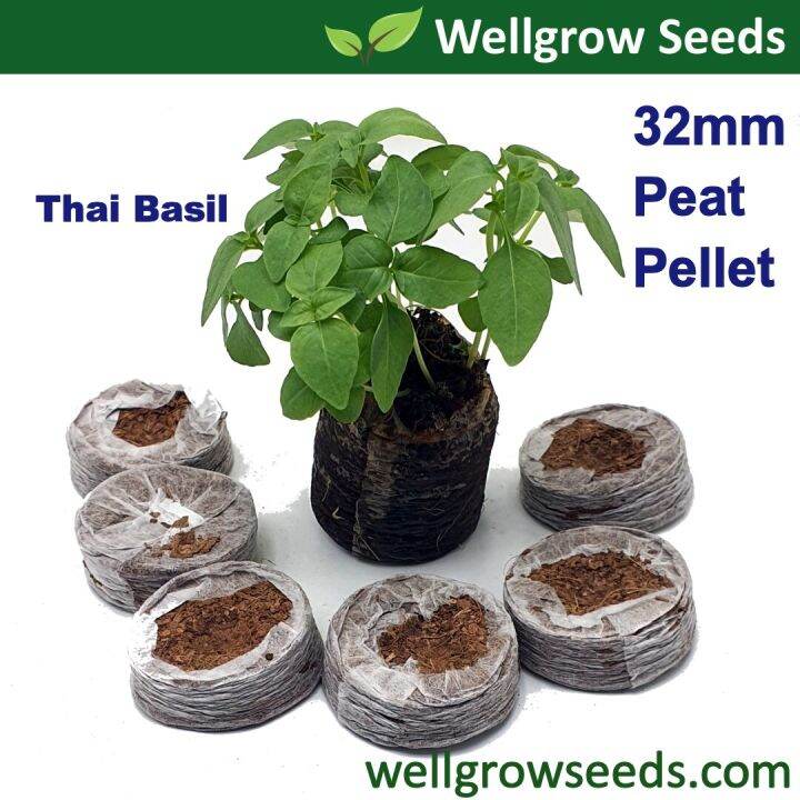 Coco Peat Pellets (32mm) (Coco Peat Disc/Coconut Coir Pellets/Seed ...