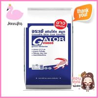 ซีเมนต์ฉาบผิวละเอียด เกเตอร์ ตราจระเข้ 25 กก. สีขาวCEMENT SKIM COAT JORAKAY 25KG WHITE **ขายดีที่สุด**