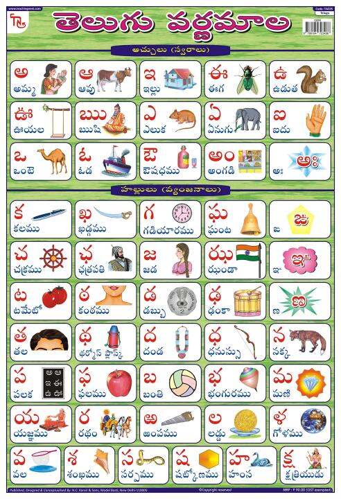 Telugu Alphabet Chart | Lazada Singapore