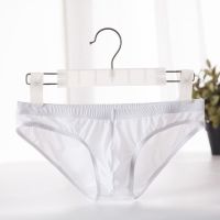 【CW】 Silk Men  39;s Briefs Ultra-thin Breathable Transparent Seamless Underpants Low Waist Men Panties Size