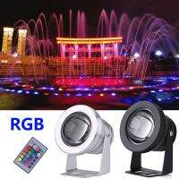 Waterproof LED RGB Floodlight 12V 110V 220V 10W Outdoor Spotlight for Underwater Fountain Pool Pond Aquarium with Remote Control