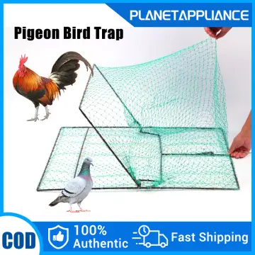 Shop Invisible Synthetic Bird Net Trap with great discounts and prices  online - Mar 2024