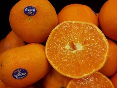 ส้ม ส้มแมนดารินออสเตรเลีย Mandarin Orange AUSTRALIA (ราคา / 1 ลูก)