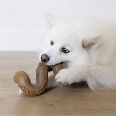 ของเล่นเชือกกัดสำหรับสุนัข S สุนัขสำหรับทั้งหมดประเภทของเล่นเชือกกัดสำหรับสุนัขดีไซน์โดดเด่น