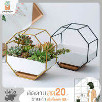 Plant pot กระถางต้นไม้ ทรงแปดเหลี่ยม พร้อมชั้นวางเหล็ก และถาดรอง 1ชุด สีทอง/ดำ ตกแต่งบ้าน เสริมบรรยากาศบ้าน