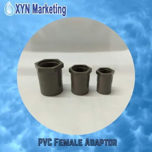 PVC Gray Female Adaptor (1