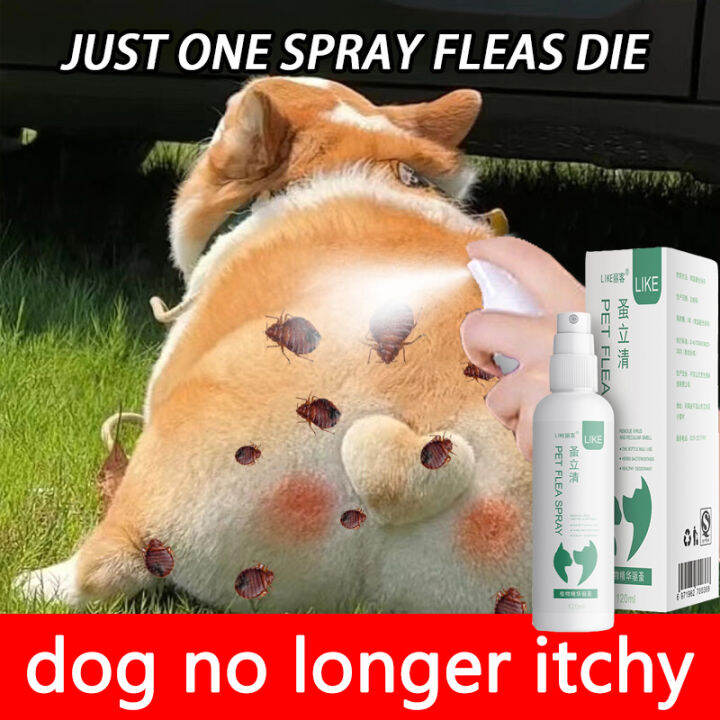 Nontoxic can be licked🐶Pet Spray Pet skin treatment spray Pet skin