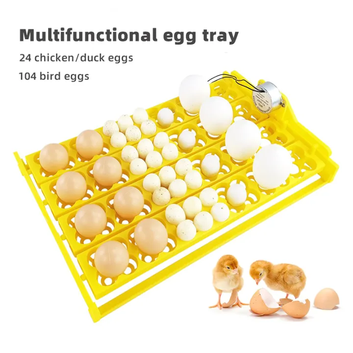 24 Egg 220V Poultry Incubator Egg Tray with Motor Temperature Control