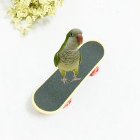 KBBABJ Intelligence Funny Pet Training Accessories Parakeet Parrot Bird Accessories Bird Toy Bird Supplies Skateboard