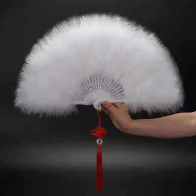 Feather Folding Fan Japanese Sweet Fairy Girl Gothic Court Dance Hand Fan